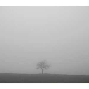 Alone