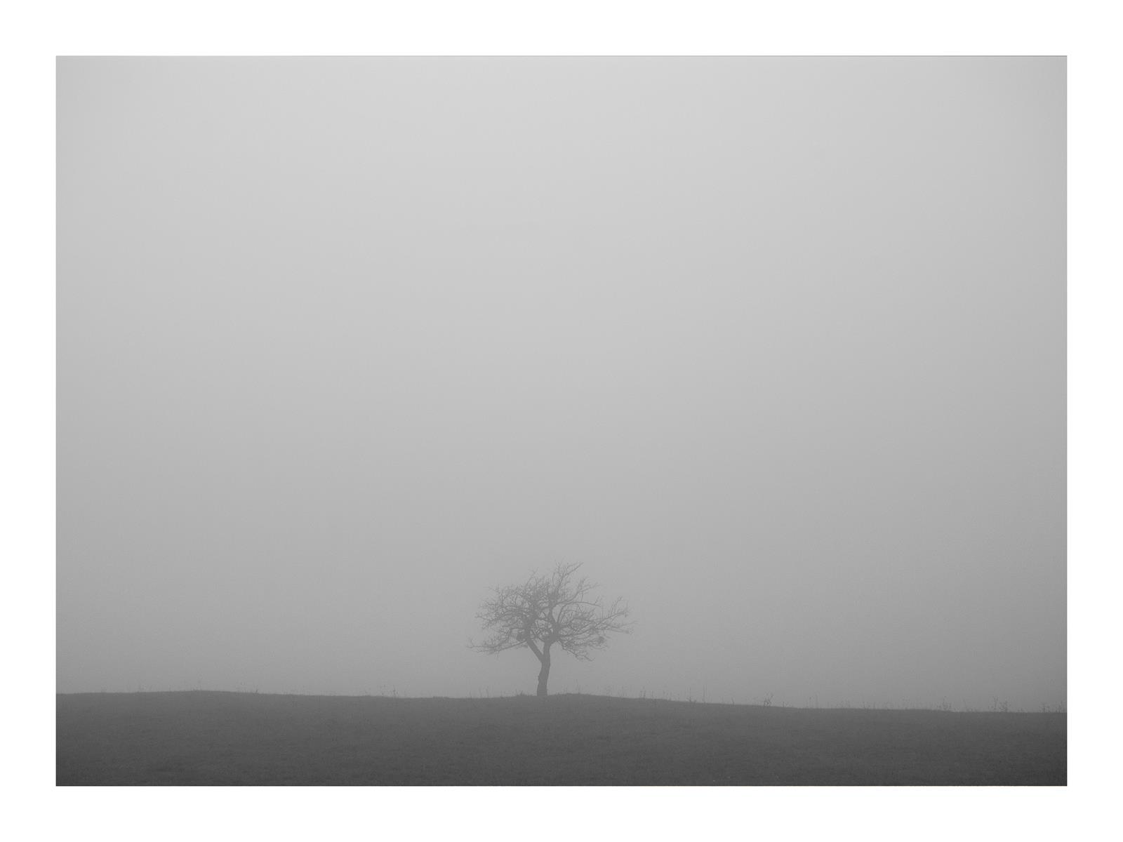 Alone